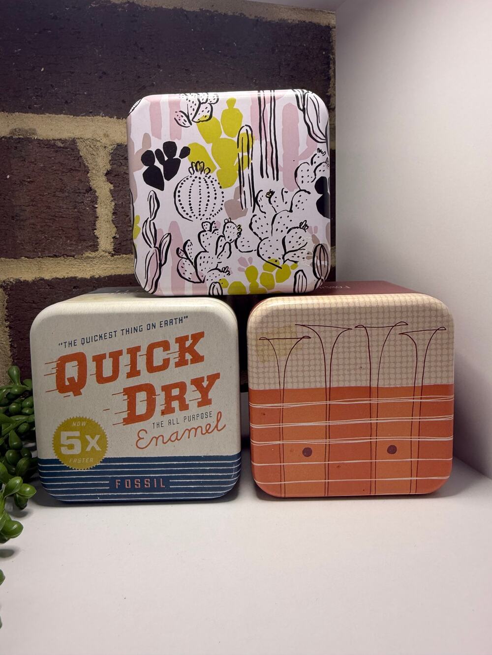 Fossil Collectible Tin Storage Boxes Set of 3 w Inserts Quick Dry Cactus Empty